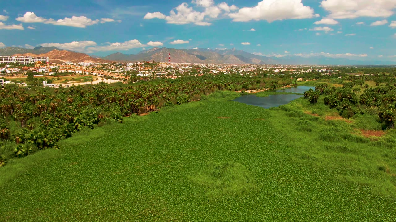 Mid-pan San Jose Del Cabo frame showing the green field across the lower half, a dark waterway tucked behind the trees, more open vegetation to the right, distant buildings, mountain ridges, and no visible people.