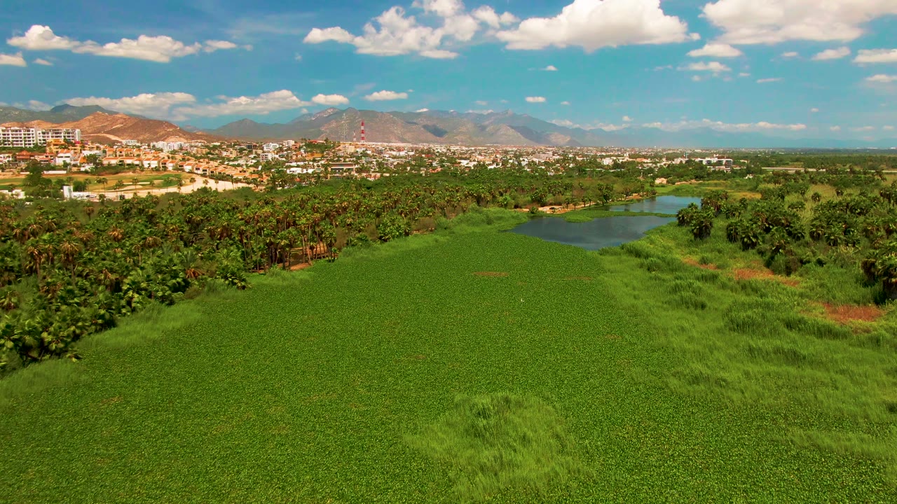 Aerial pan over green field with tree line, waterway, buildings at left, mountains, and blue sky.