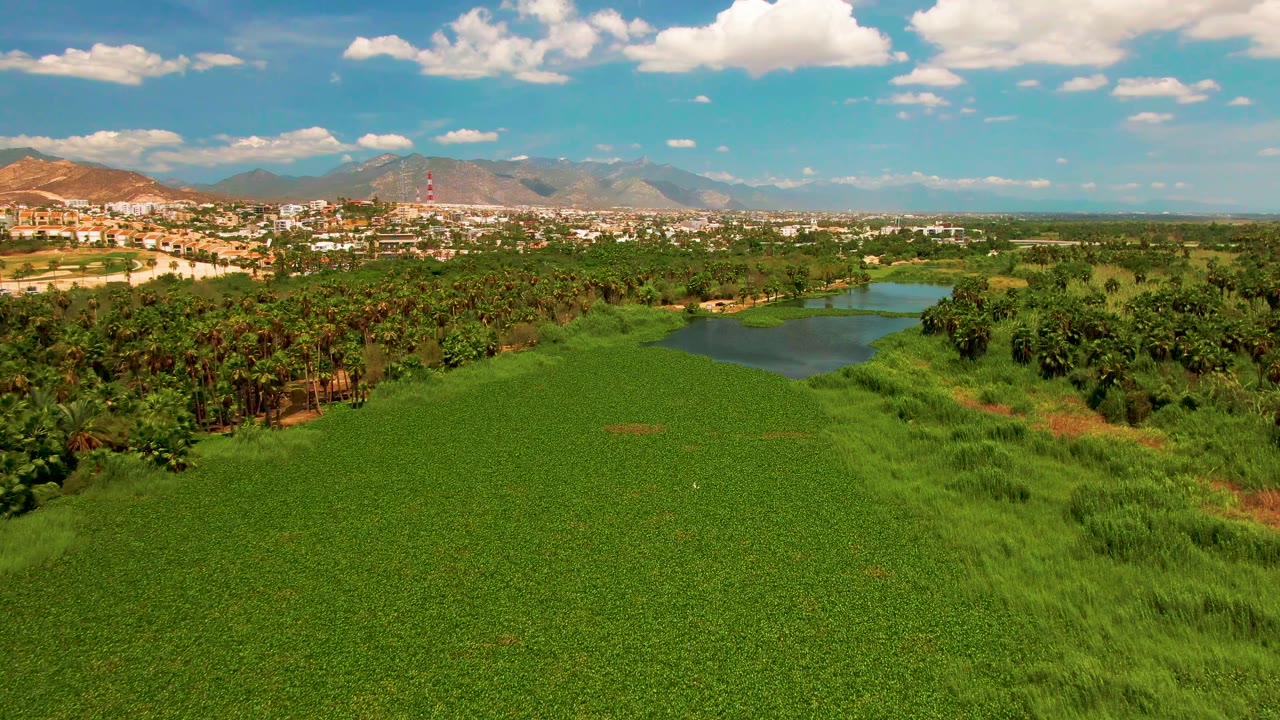 Opening aerial frame over San Jose Del Cabo, Baja California Sur, with green vegetation in the foreground, a small pond near center right, town buildings and mountains beyond, and no visible people.