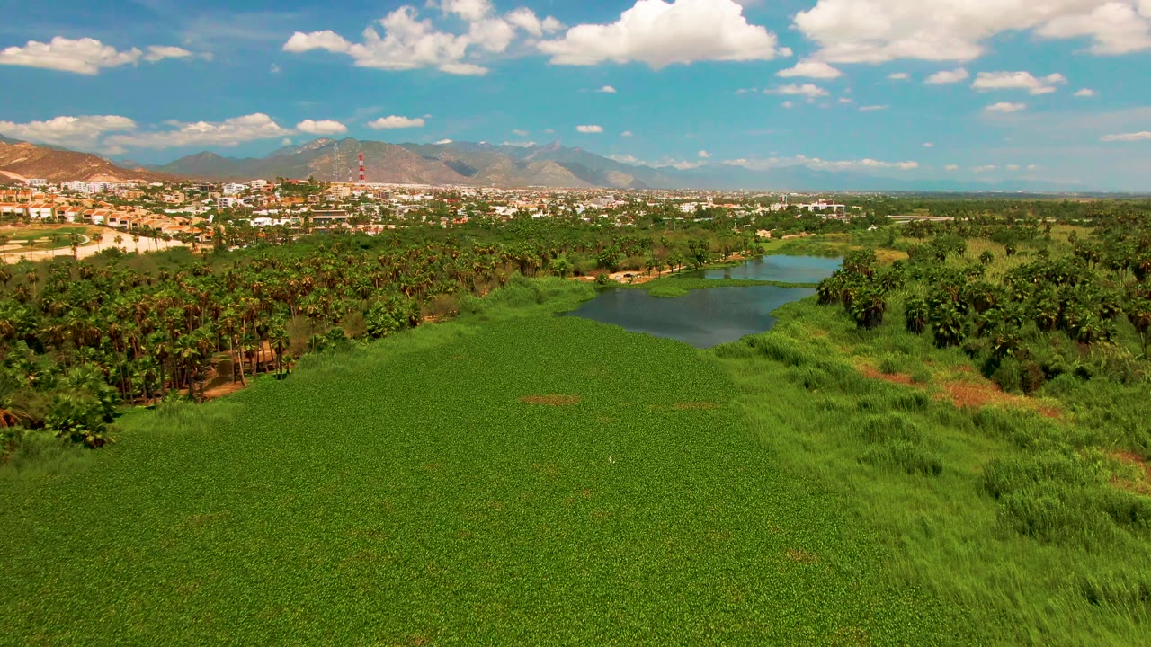 At 0:01, the San Jose Del Cabo aerial view keeps the pond slightly right of center, with dense tree cover across the midground, mountains along the horizon, and no visible people.