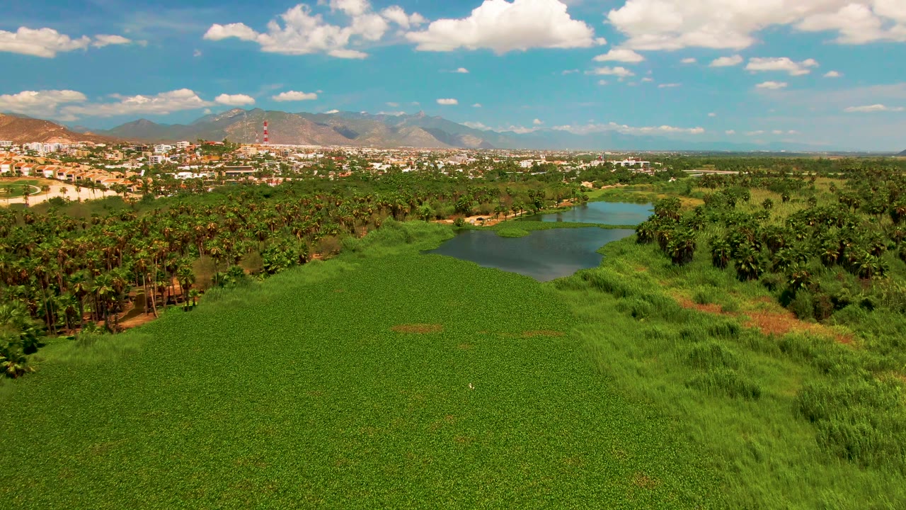 At 0:02, the drone angle shows more of the pond shape inside the green field, with a broad band of trees, low buildings, mountains, scattered clouds, and no visible people.