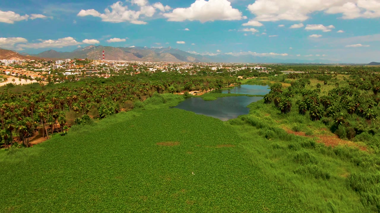 Drone view of pond and green field with trees, town buildings, mountains, and clouds.