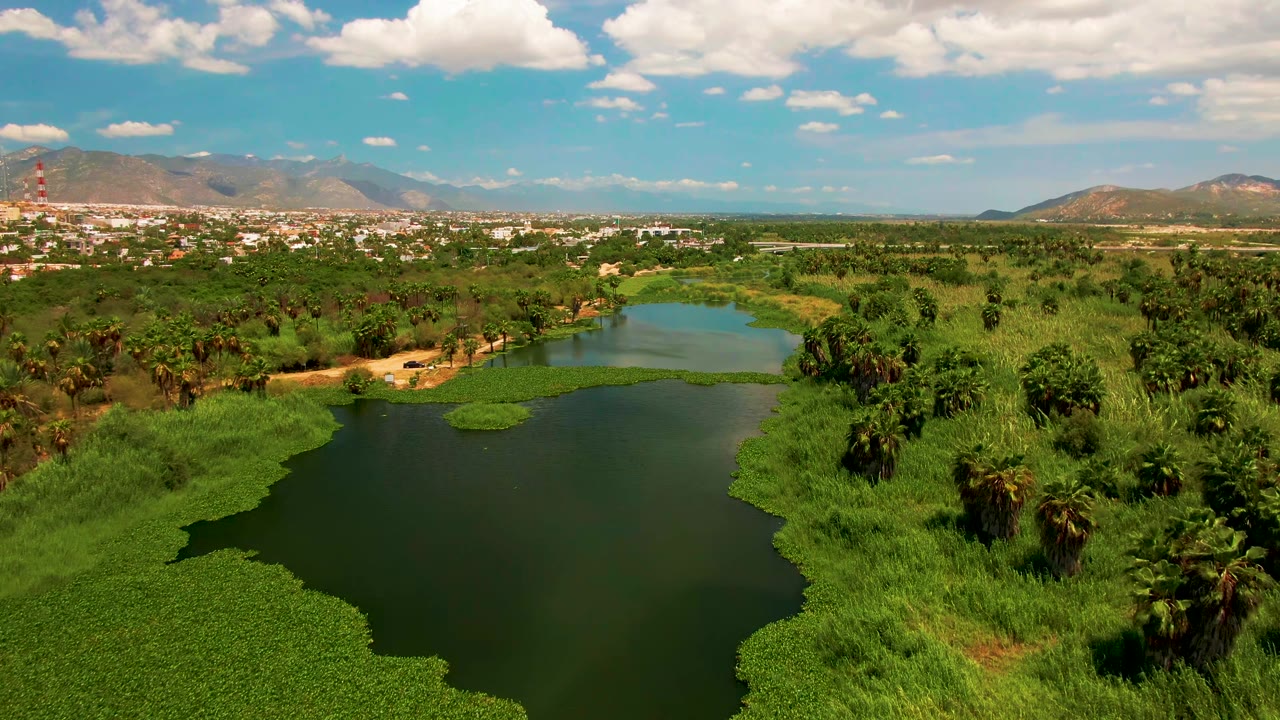 Aerial view in San Jose Del Cabo showing dark green lake water, floating vegetation near the lower edge, palm trees, distant mountains, scattered clouds, and no visible people.