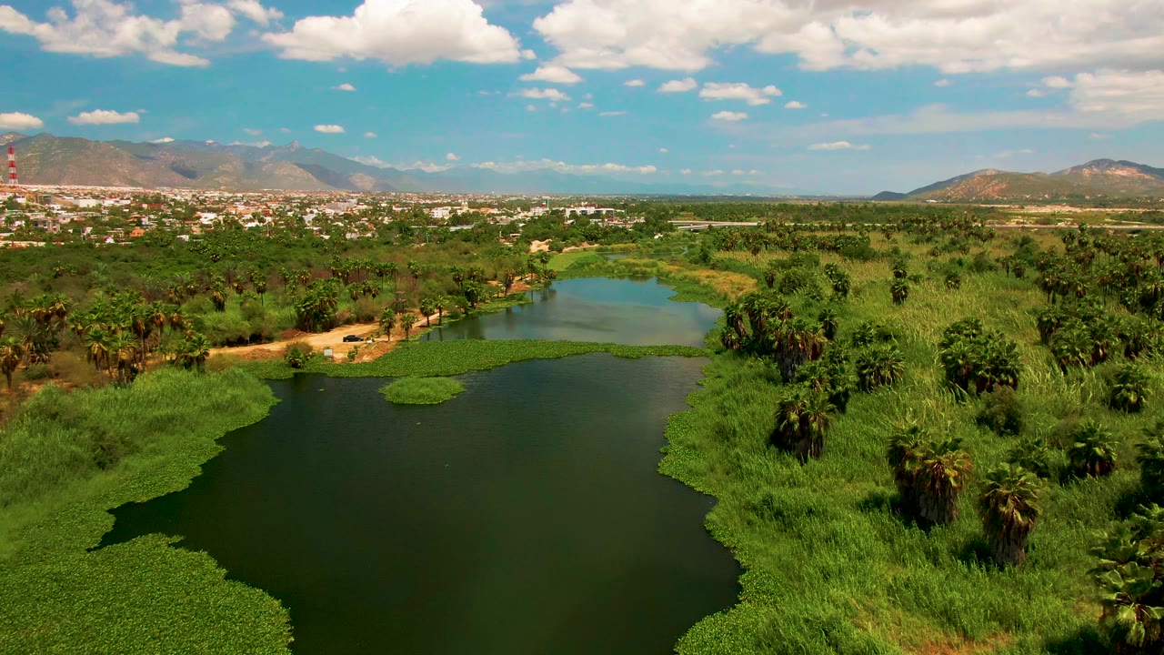 Aerial frame in San Jose Del Cabo with the lake curving through foreground vegetation, palm clusters at right, a distant built-up strip, mountains, clouds, and no visible people.