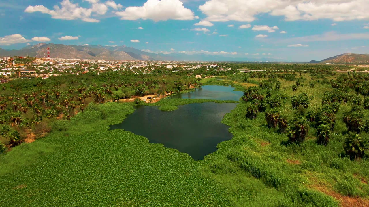 At two seconds, the frame shows more of the lake's central open water bordered by thick green hyacinth, with palm trees and grasses around it, San Jose Del Cabo buildings and mountains in the background, and no visible people.