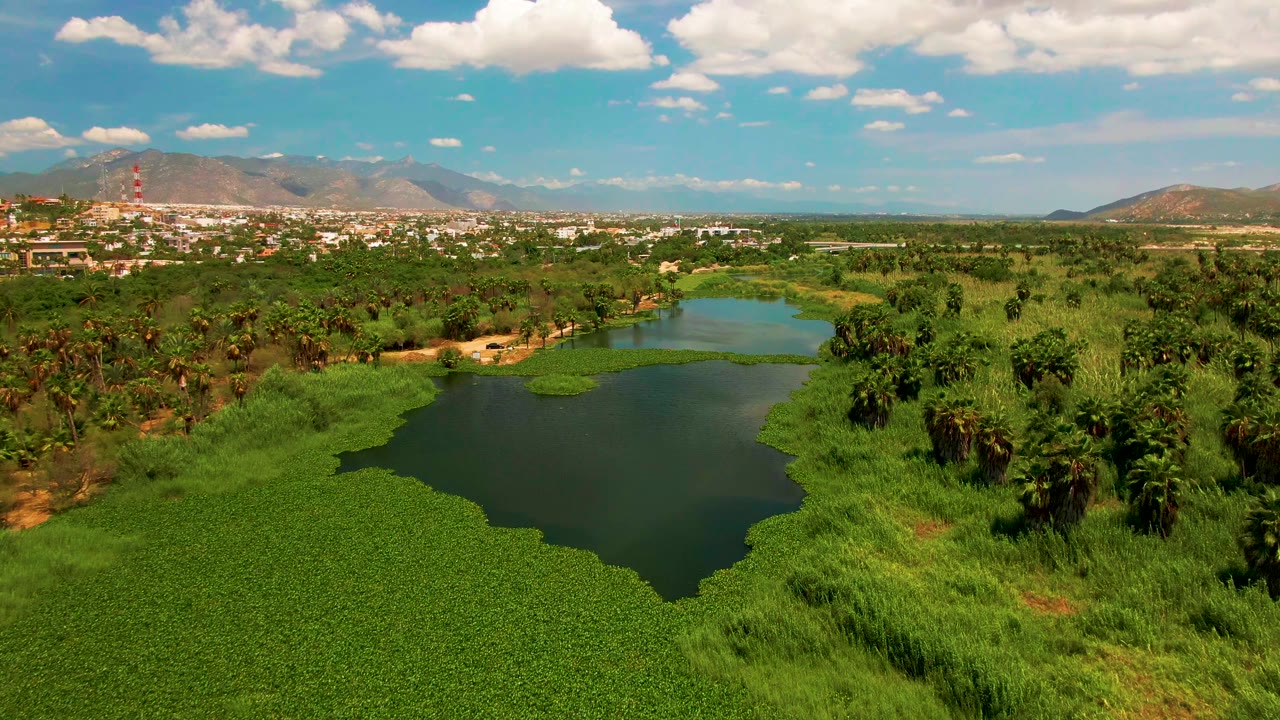 At three seconds, the aerial composition shifts slightly across the lake, keeping the hyacinth-covered foreground low in frame, open water near the left center, palms across the midground, and no visible people in San Jose Del Cabo.