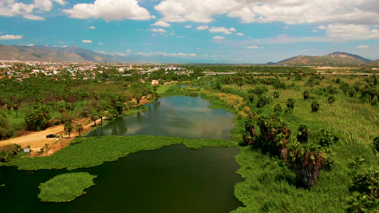 Aerial frame in San Jose del Cabo with a small dark vehicle on the tan riverbank path, green water below, palms and grasses around it, distant buildings, mountains, and no visible people.