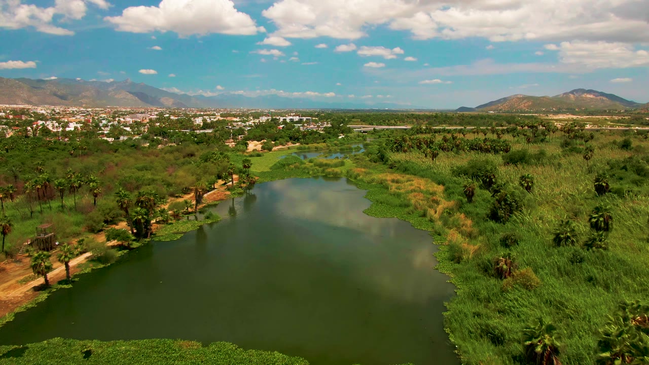 Aerial frame over a green pond in San Jose Del Cabo with reeds and palms at the banks, a distant town, mountains on the horizon, and no visible people.