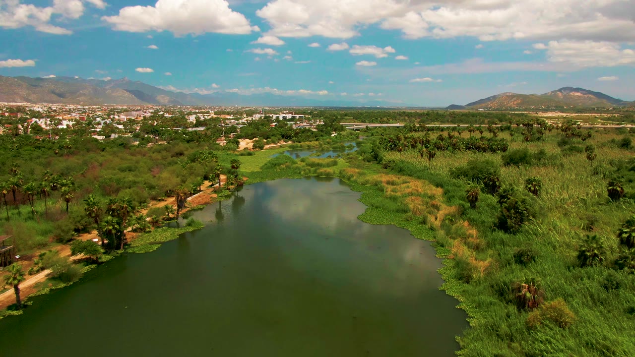 Aerial view in San Jose Del Cabo with the pond centered lower in frame, marsh vegetation and palms along both sides, distant buildings, mountains, and no visible people.