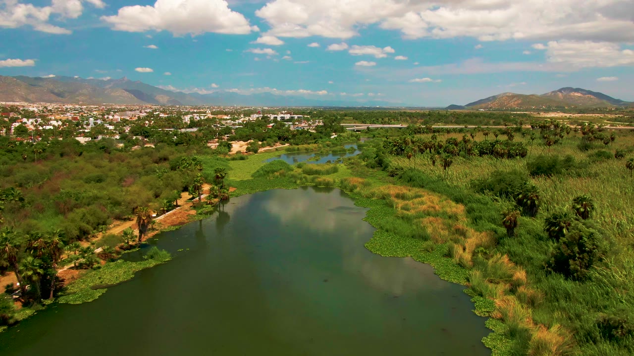 Aerial daylight view in San Jose Del Cabo with pond water at lower left, dense wetland vegetation across the middle, town buildings near the horizon, mountains, and no visible people.