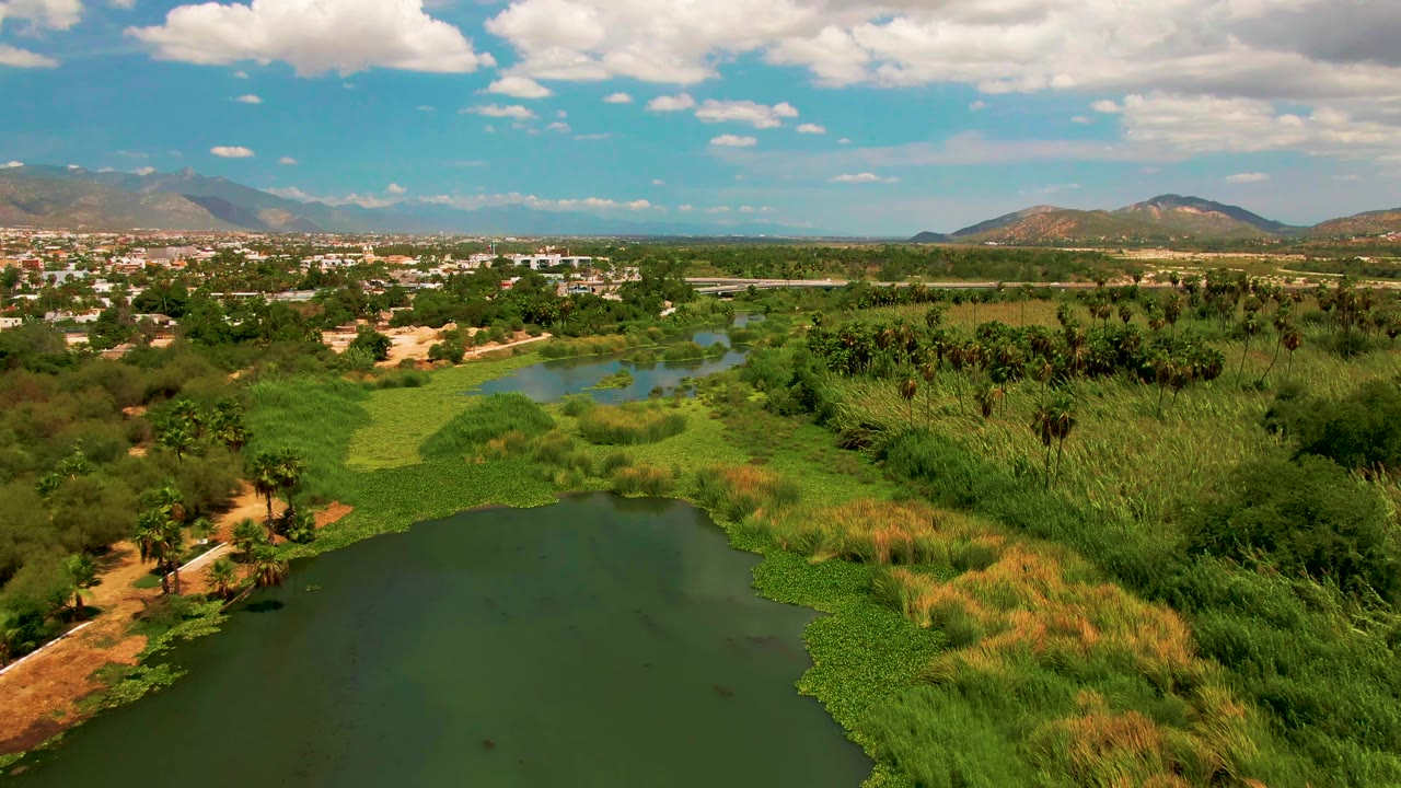 Aerial view of a lake, green reeds, palms, town buildings, and distant mountains.