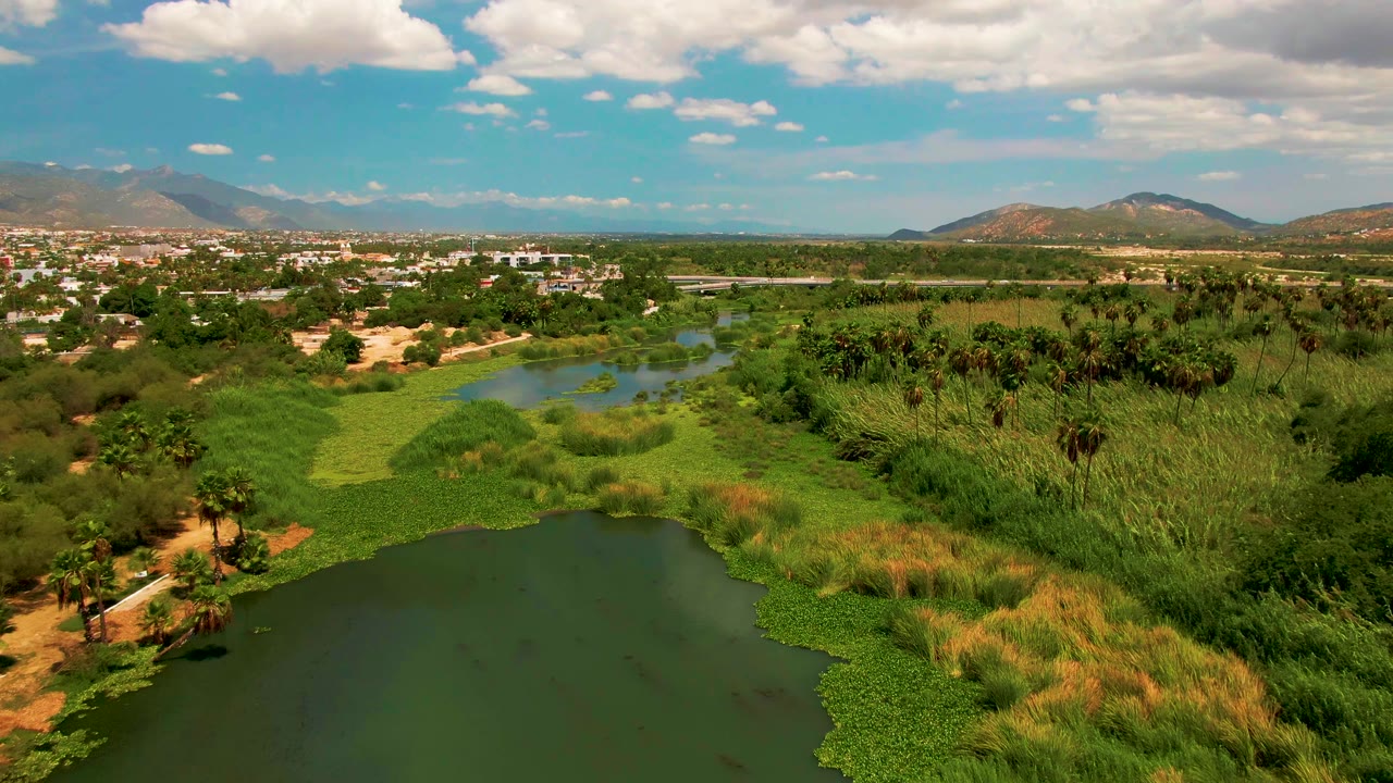 Aerial view in San Jose Del Cabo showing the lake lower in frame, thick green vegetation around it, palms to the side, distant town structures, mountains, and no visible people.