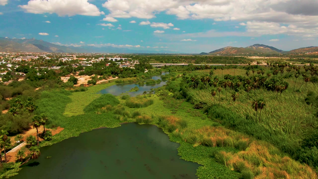 Mid-clip aerial frame over San Jose Del Cabo parkland, with dark green lake water at the bottom, bright grasses and reeds through the center, a town strip near the horizon, mountains, and no visible people.