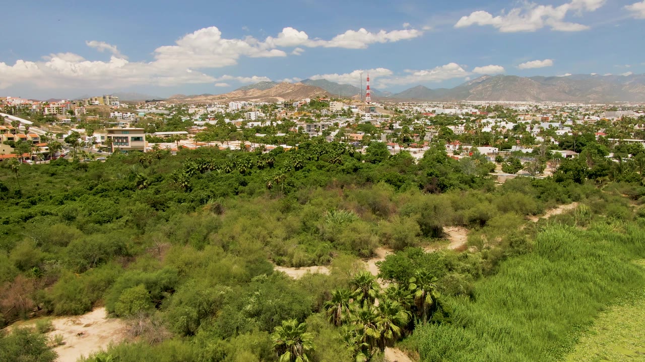Aerial frame over San Jose Del Cabo with dense trees and grass replacing the lake foreground, low town buildings in the distance, tan mountains, scattered clouds, and no visible people.