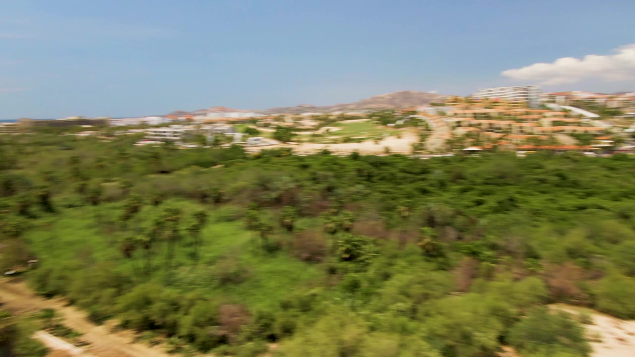 Aerial frame from San Jose del Cabo showing dense green vegetation, distant hillside buildings, a pale sky, and no visible people.