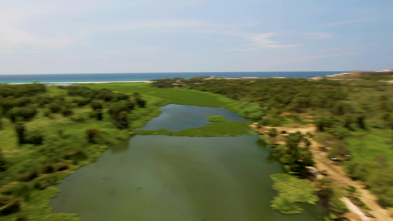 Aerial frame from San Jose del Cabo looking over a green lagoon, surrounding vegetation, ocean horizon, and no visible people.