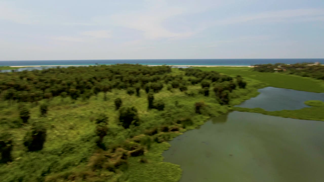 Aerial frame from San Jose del Cabo with the lagoon edge at right, thick green vegetation across the middle, ocean beyond, and no visible people.