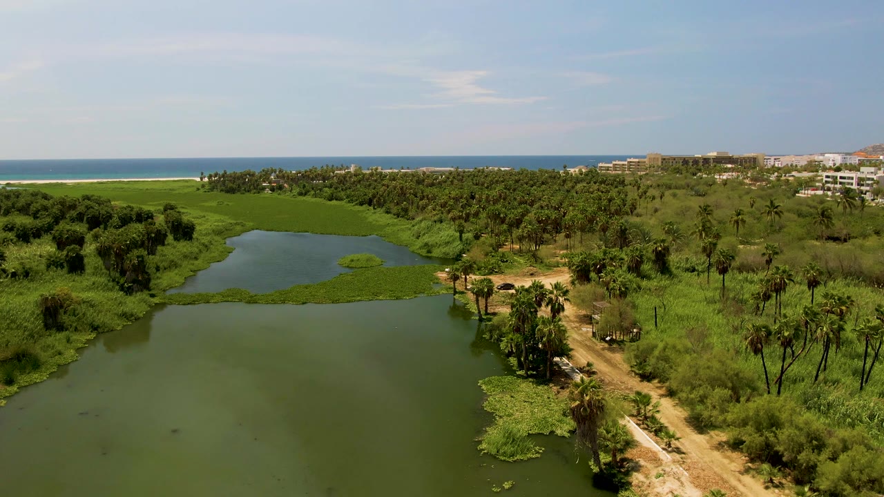 Wide aerial view of lagoon, palms, greenery, ocean, and distant buildings.