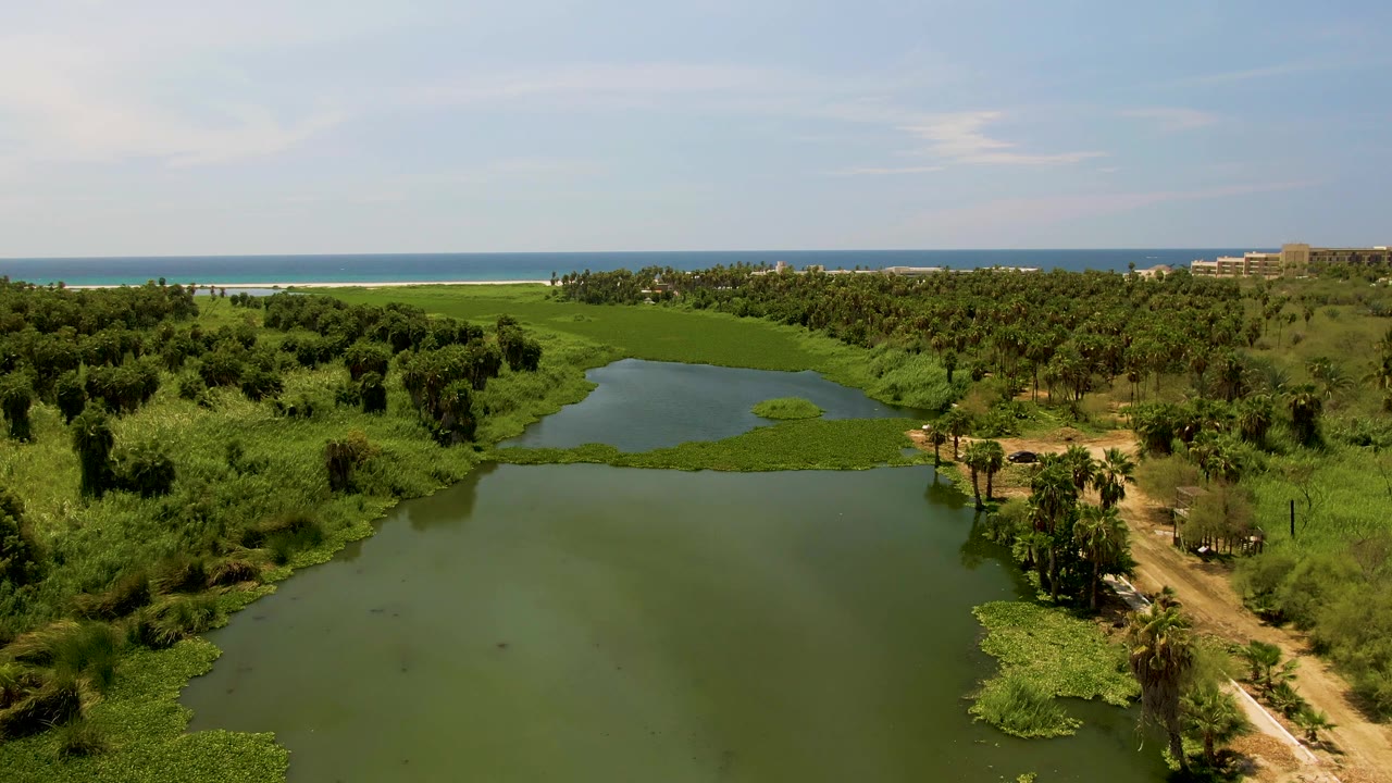 Aerial view in San Jose del Cabo, Baja California Sur, showing a green pond in the foreground, lily pads near the banks, a dirt path on the right, ocean on the horizon, and no visible people.