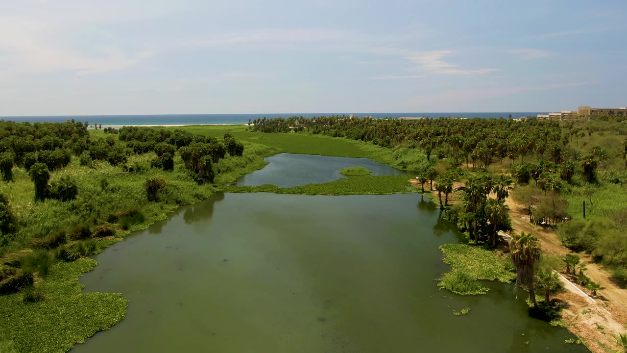 Aerial landscape of green pond water, shoreline plants, dirt path, trees, ocean, and sky.