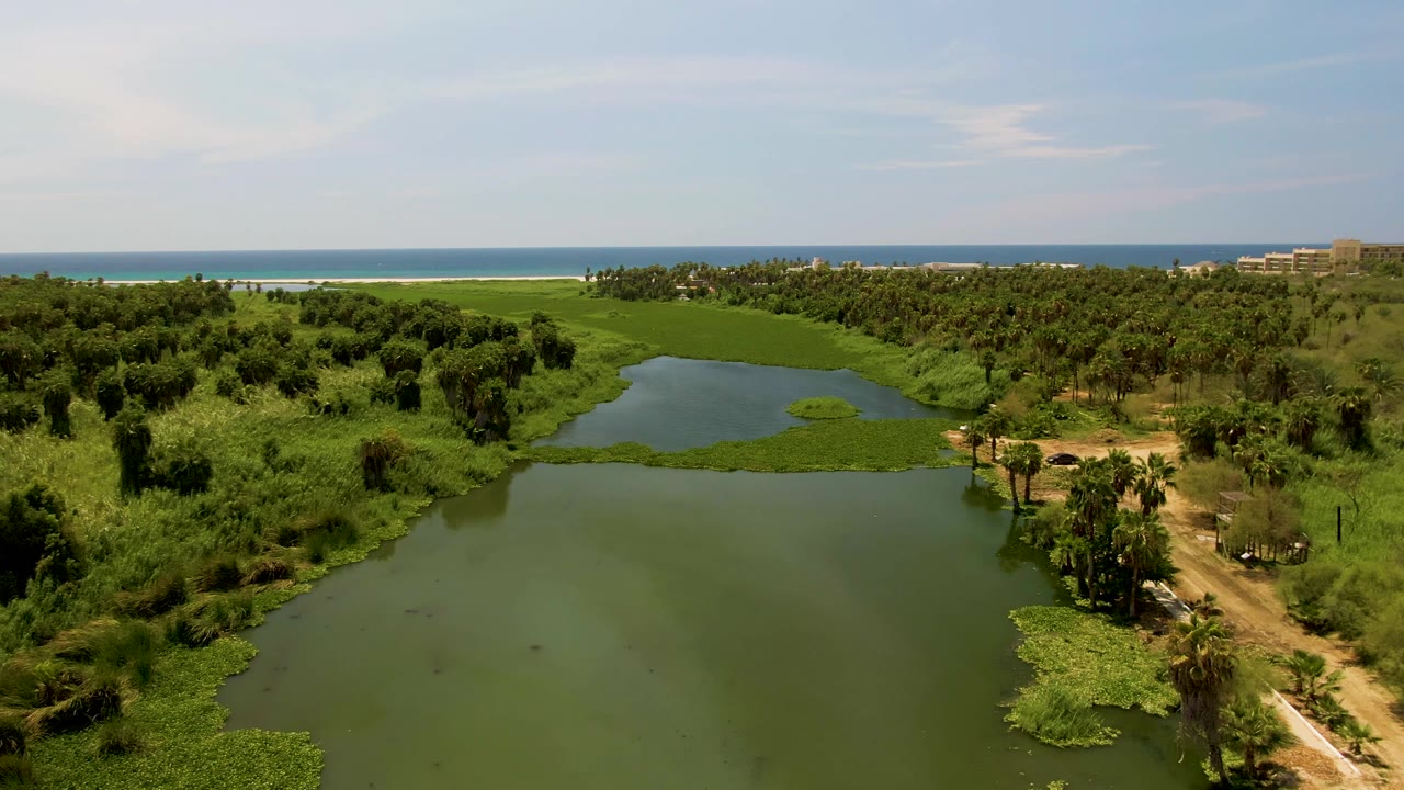 Aerial frame over a lagoon in San Jose Del Cabo, Baja California Sur, with a dirt road through palms, dense green vegetation, ocean on the horizon, and no visible people.