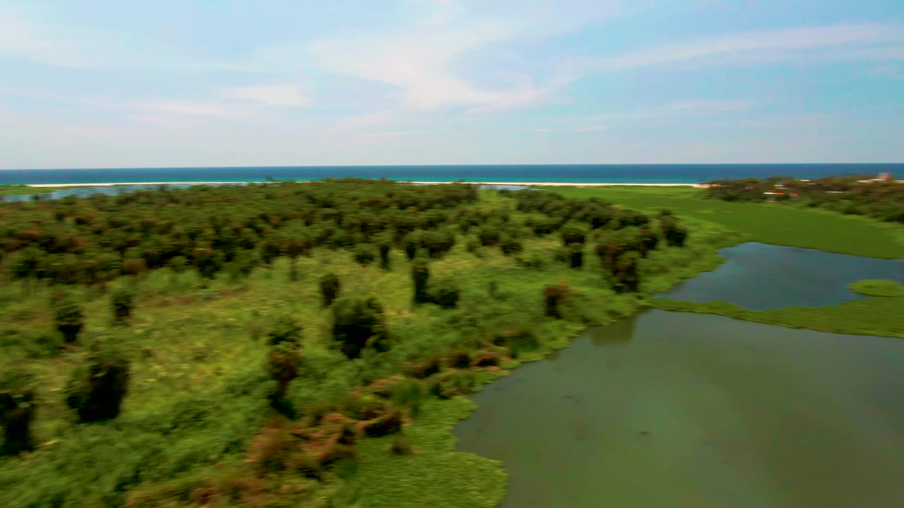 Aerial frame in San Jose Del Cabo, Mexico showing green lagoon water below, dense coastal vegetation ahead, a beach and blue ocean on the horizon, and no visible people.