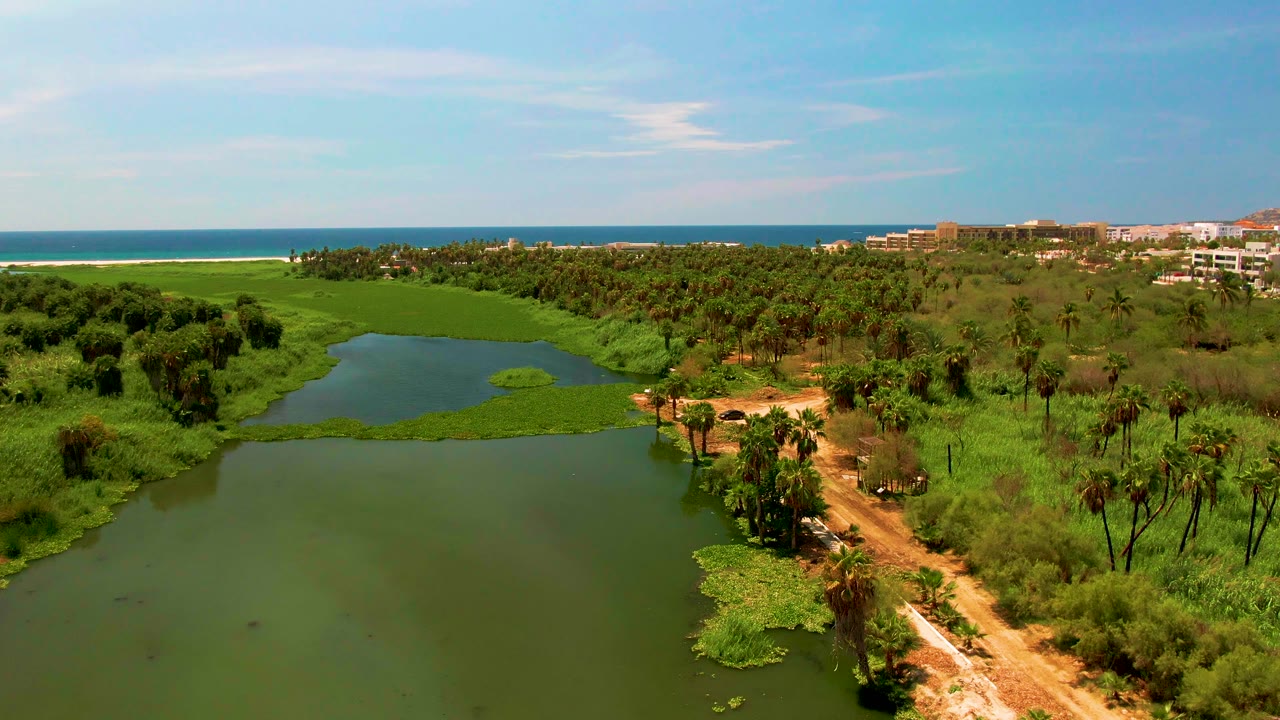 Aerial frame in San Jose Del Cabo, Mexico with a broad green lagoon in the foreground, low vegetation and palms around it, distant beachfront buildings to the right, and no visible people.
