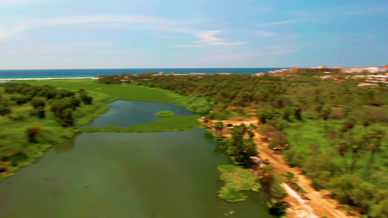 Aerial frame in San Jose Del Cabo, Mexico showing lagoon water in front, a dirt path and palm cluster on the right bank, green vegetation across the middle, ocean beyond, and no visible people.