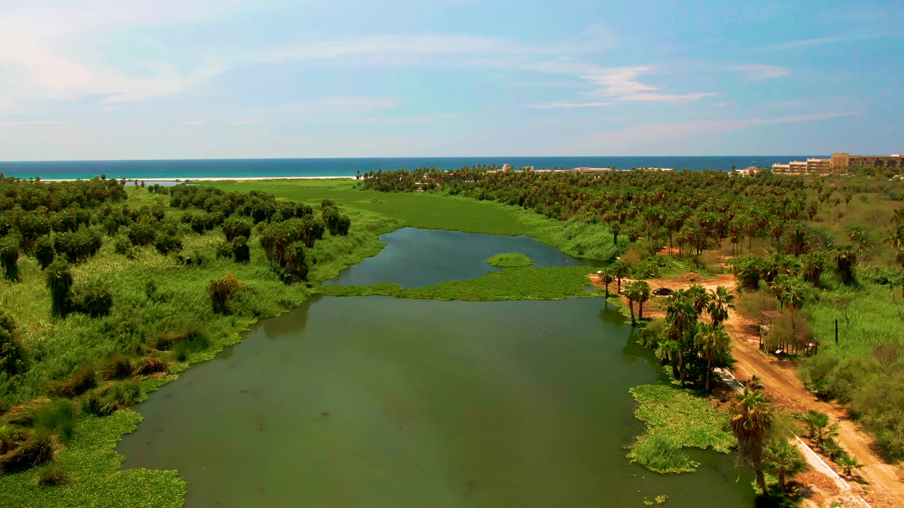 Opening aerial frame over a San Jose del Cabo lagoon with green water in the foreground, dense palms around the banks, the ocean on the horizon, and no visible people.