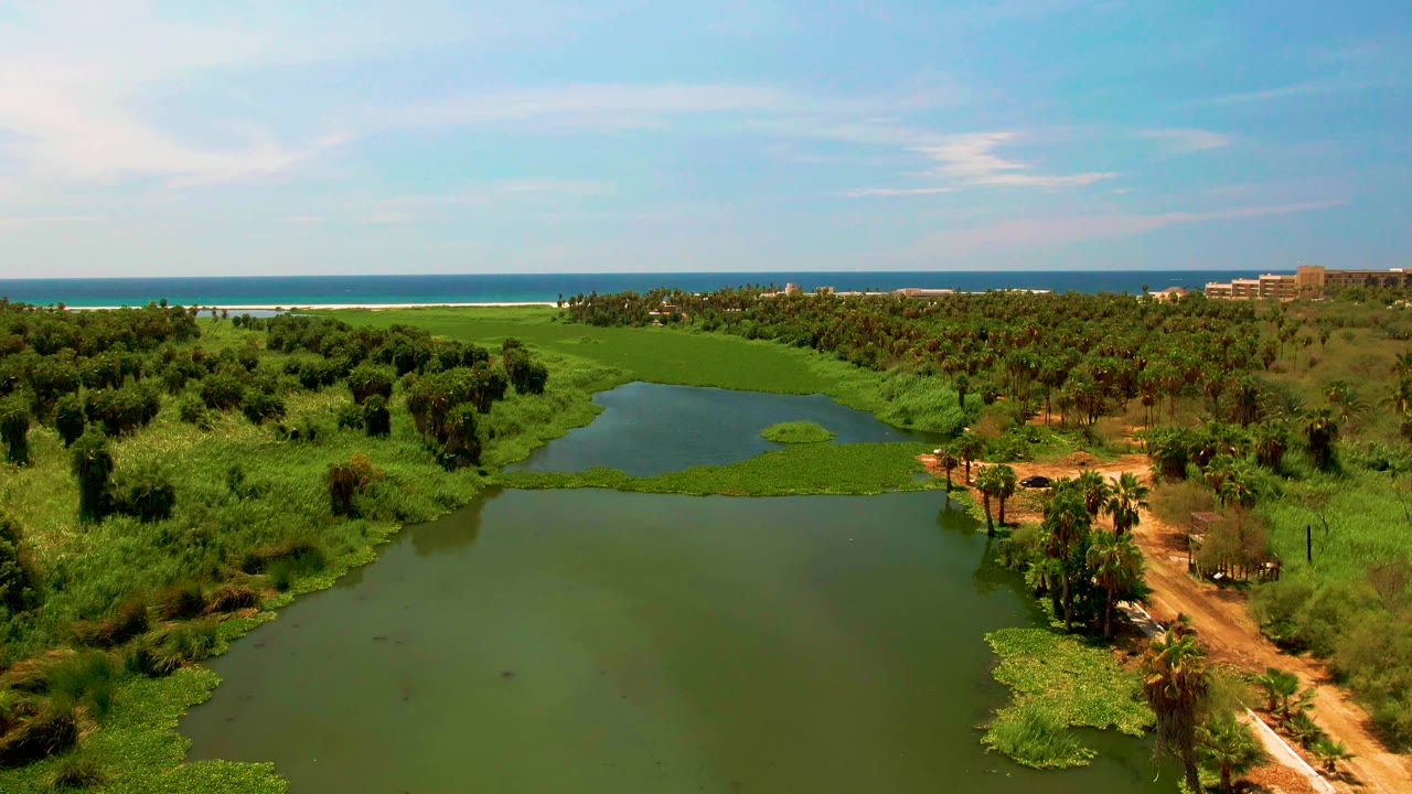 Elevated lagoon landscape with palms, dirt track, ocean, and distant buildings.