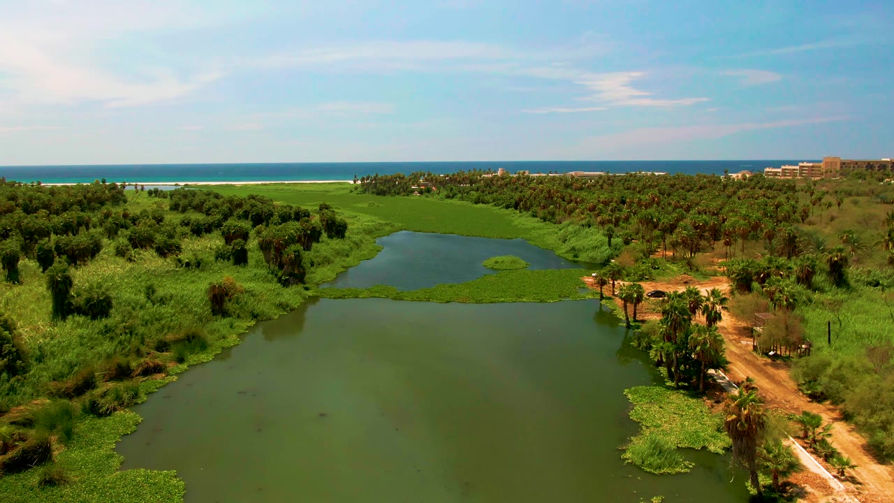 At 0:02, the San Jose del Cabo wetland view holds steady with green lagoon water below, darker palms at left, a tan dirt path at right, ocean beyond, and no visible people.