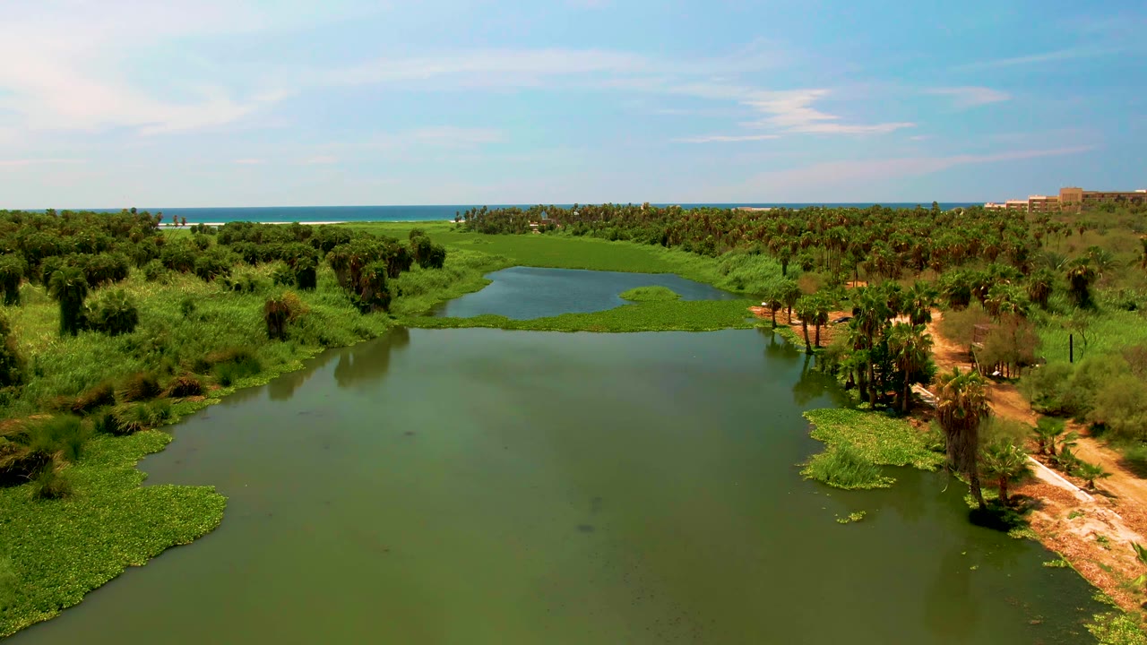 Aerial view in San Jose Del Cabo, Baja California Sur, with green lagoon water in front, marsh vegetation on both sides, ocean on the horizon, and no visible people.