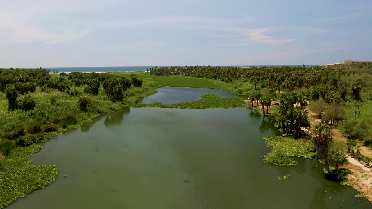 Lagoon and wetland vegetation seen from above with the ocean beyond.