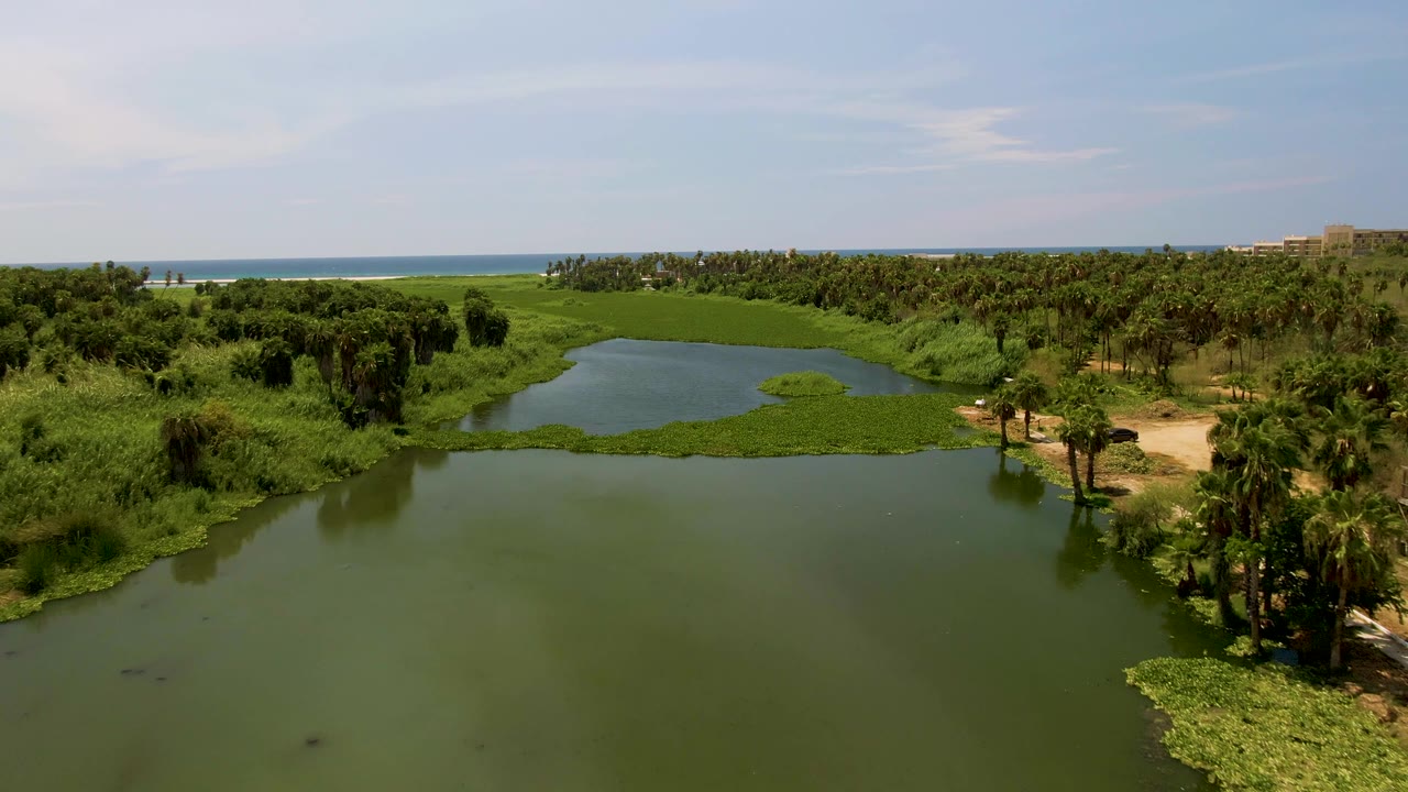 Aerial view in San Jose Del Cabo, Baja California Sur showing green lagoon water in the foreground, palm-lined shore on both sides, ocean on the horizon, and no visible people.