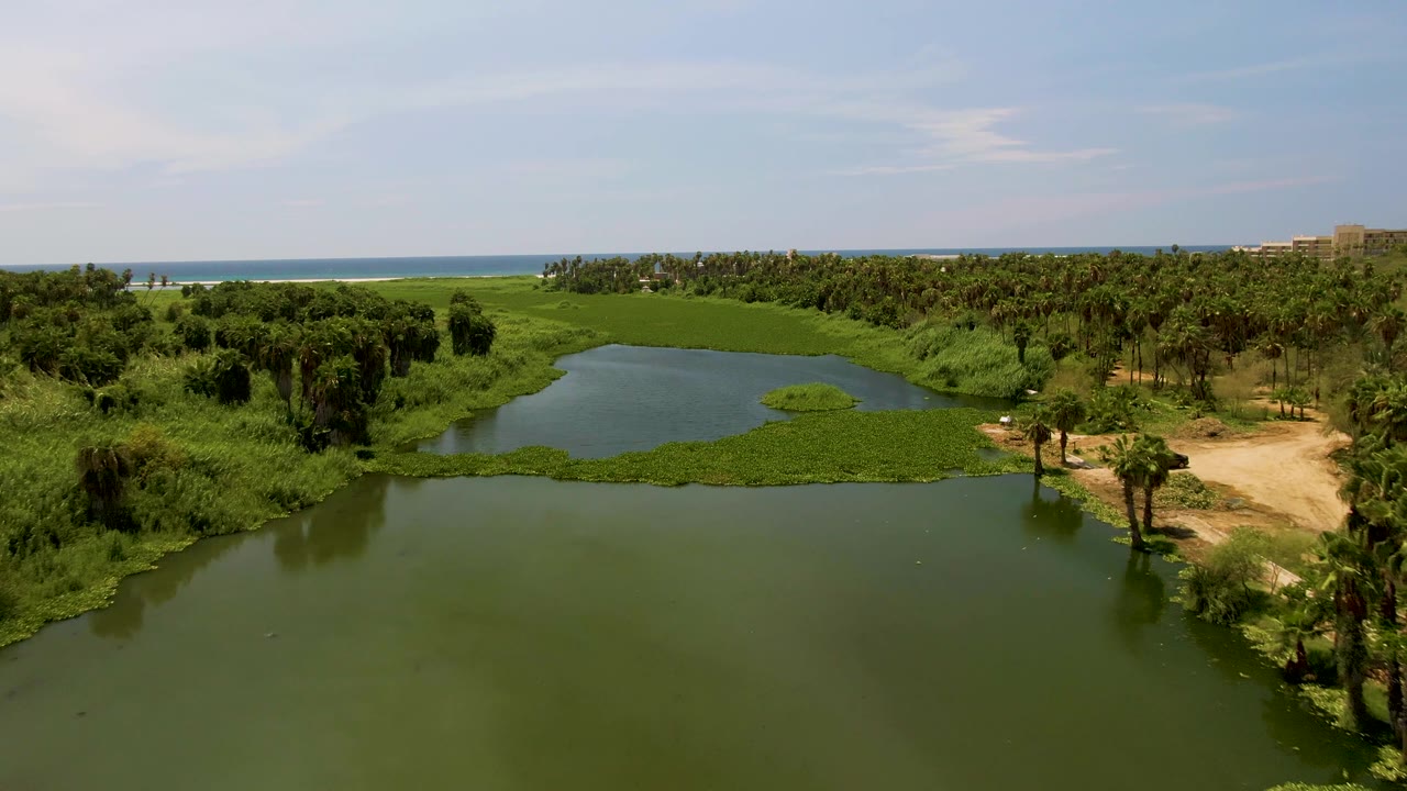 At 0:01, the San Jose Del Cabo lagoon remains centered with open green water below, thick vegetation across the far bank, palms to the right, ocean in the distance, and no visible people.