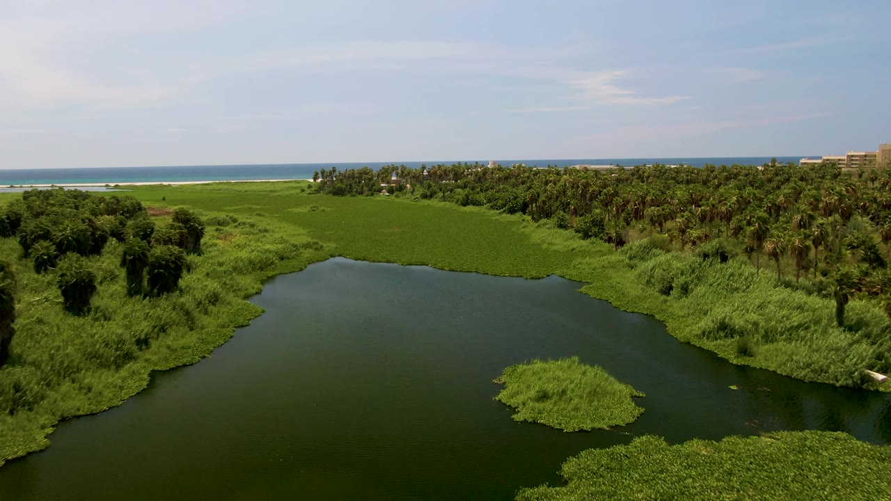 Wide aerial view of lagoon water bordered by dense green plants and palms.