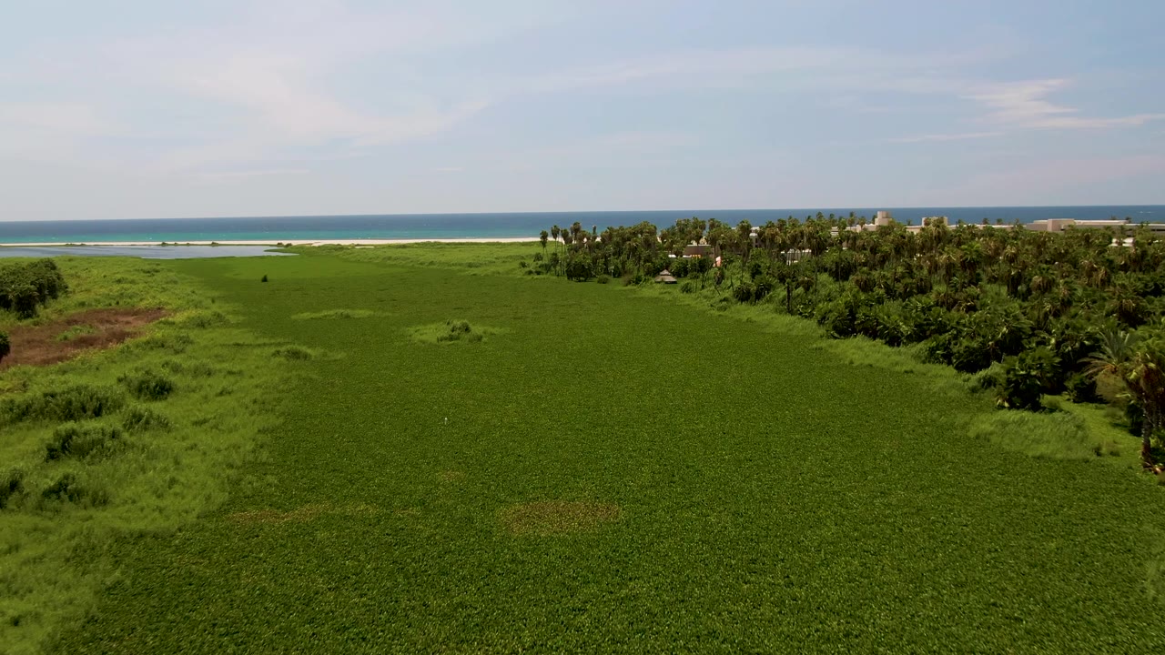 Aerial frame in San Jose del Cabo showing a wide green field leading to palms, pale beach, and blue ocean, with a tiny distant person barely visible in the vegetation.