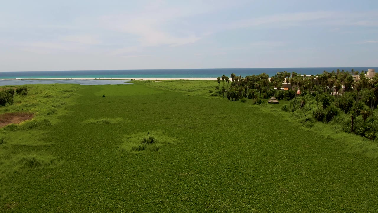 Wide aerial frame in San Jose del Cabo showing a green field leading to a pale beach and blue ocean, with palm trees and small structures on the right and no visible people.