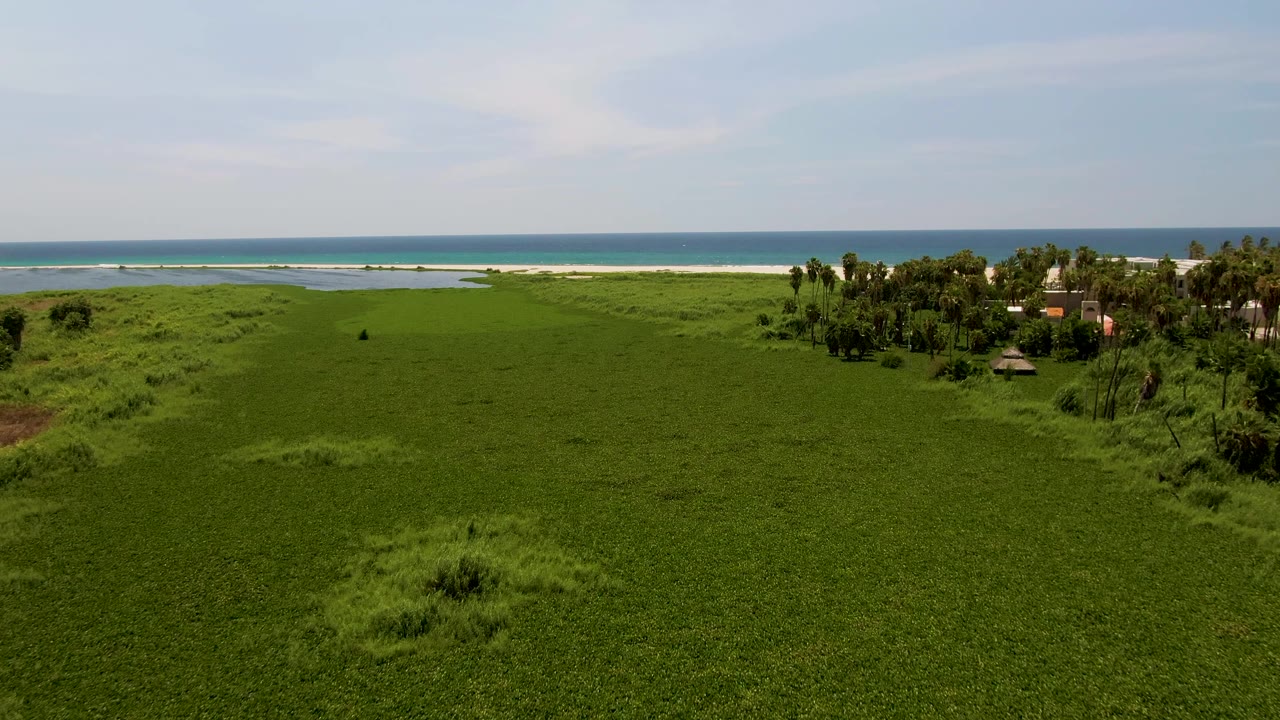 Aerial frame over San Jose del Cabo grassland, with the sandy beach and ocean stretching across the background and a cluster of palms and small buildings on the right, no visible people.