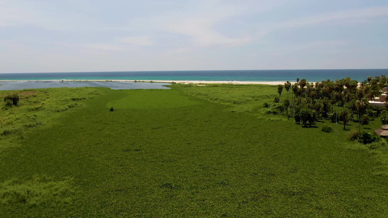Wide aerial frame in San Jose del Cabo showing a large green field leading to palm trees, pale sand, and blue ocean, with no visible people.