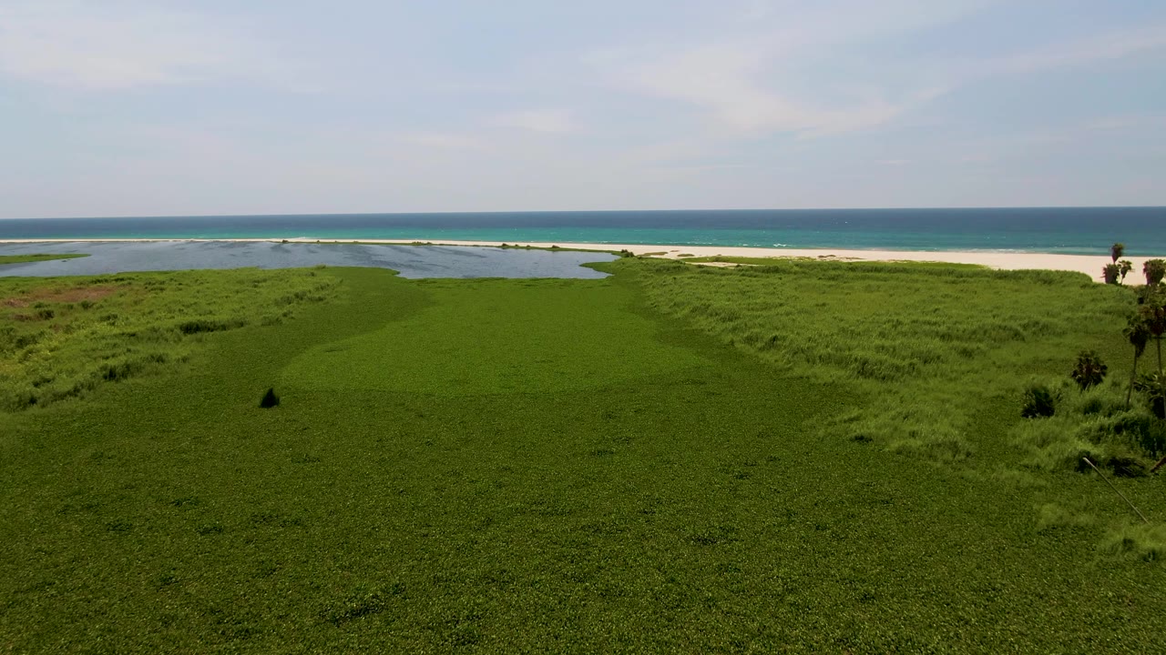 Aerial view in San Jose del Cabo showing green dune vegetation in the foreground, pale sand and water pools near the shore, blue ocean beyond, and no visible people.