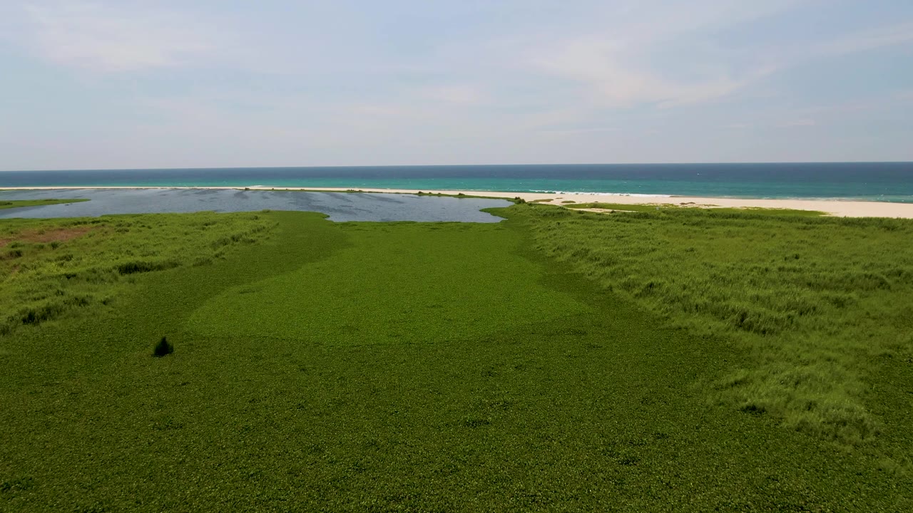 Aerial view in San Jose del Cabo where broad green dunes occupy most of the frame, with lagoon-like water, a sandy beach strip, blue ocean, and no visible people.