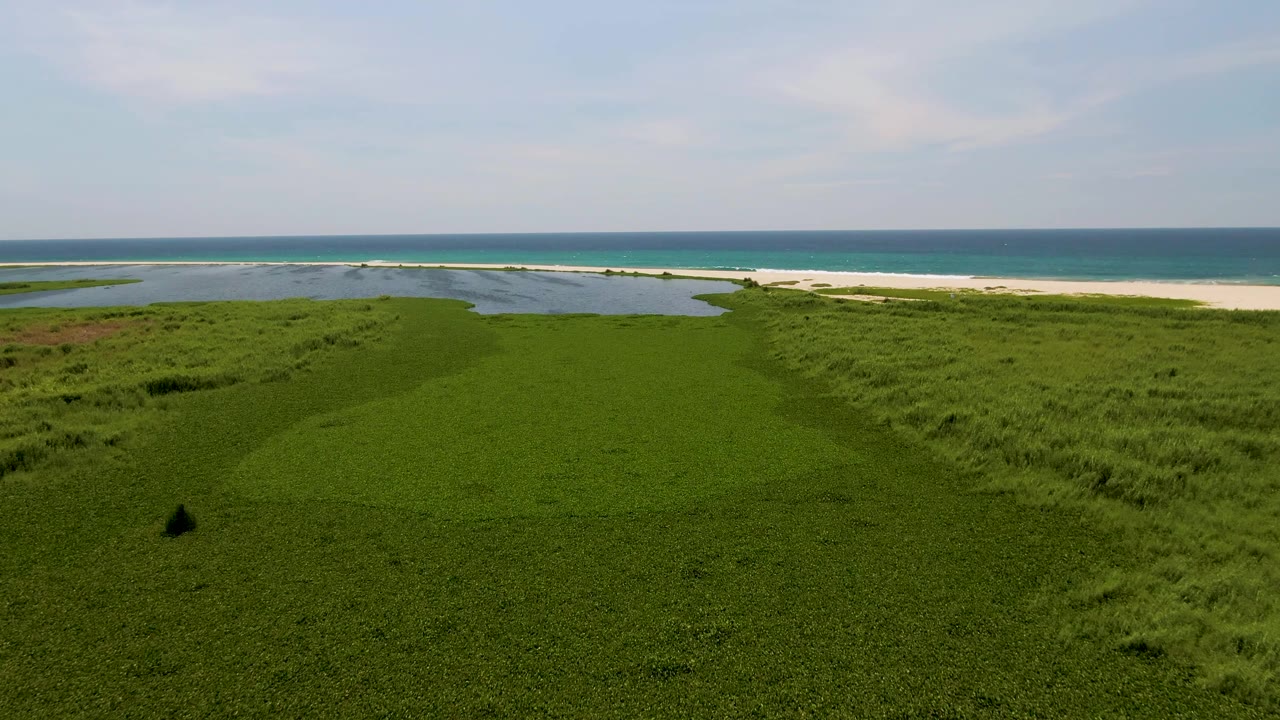 Grassy dunes with water pools, sandy shore, and ocean under pale sky.
