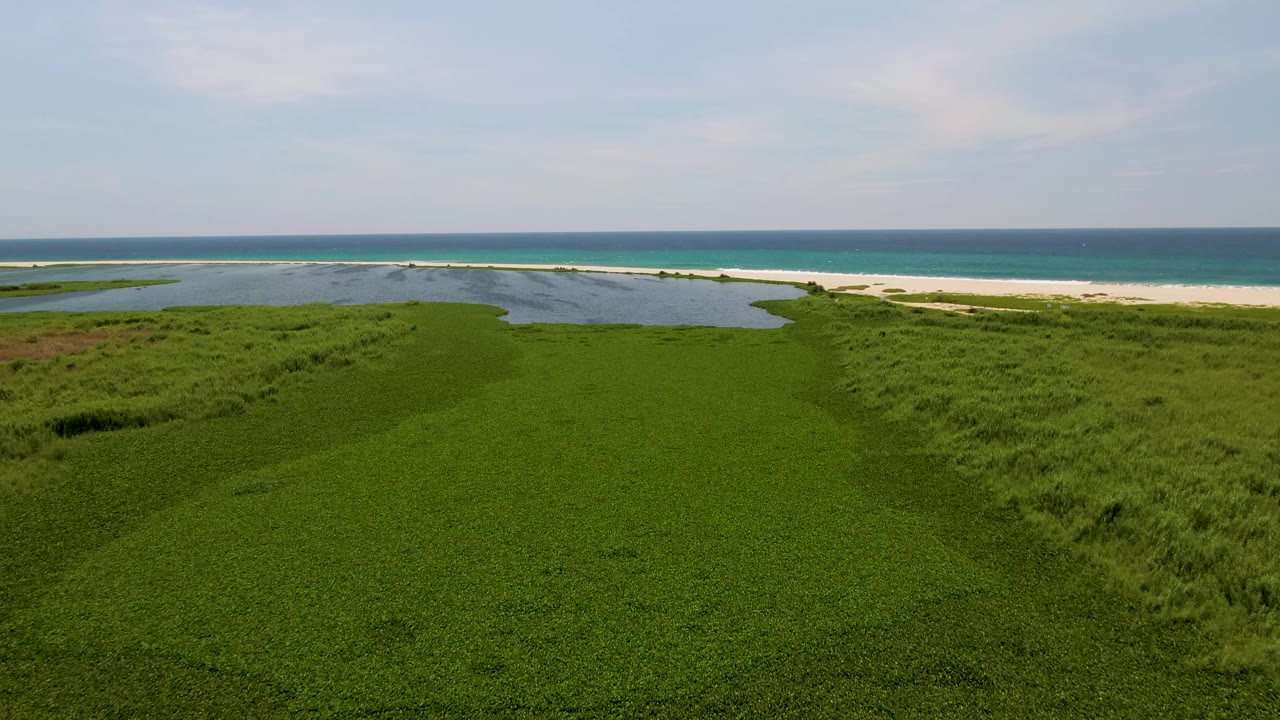 Opening aerial frame over green dunes and a lagoon in San Jose del Cabo, with sandy beach and blue ocean beyond and no visible people.