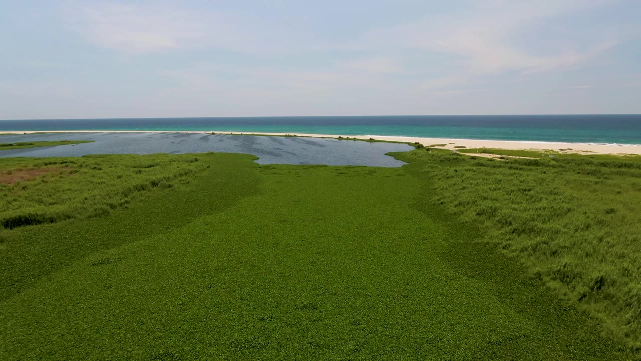 Aerial view in San Jose del Cabo with dense green dune grass leading to a shallow lagoon, bright sand, and the ocean horizon, with no visible people.