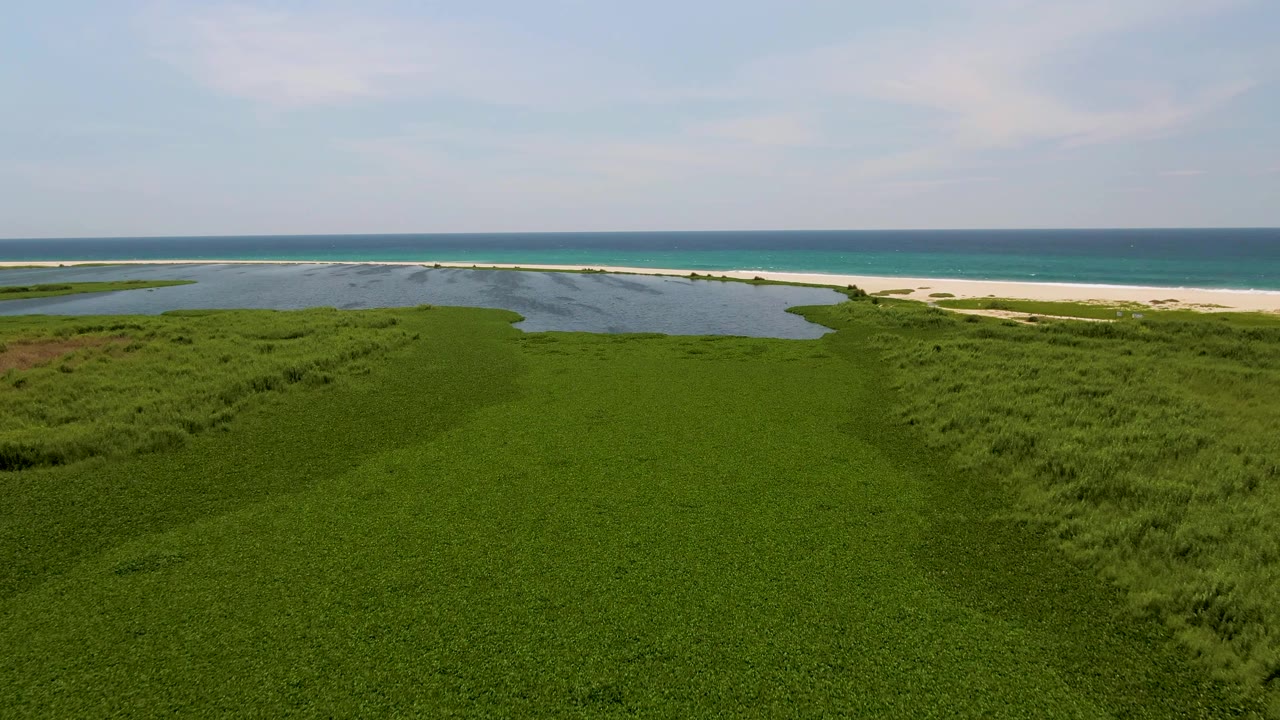 Wide drone-like frame over San Jose del Cabo dune grass, with the lagoon slightly left of center and beach and ocean stretching across the background, with no visible people.