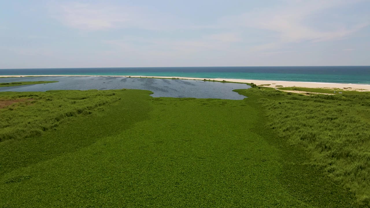 Lagoon water beside green dunes with sand and ocean in the background