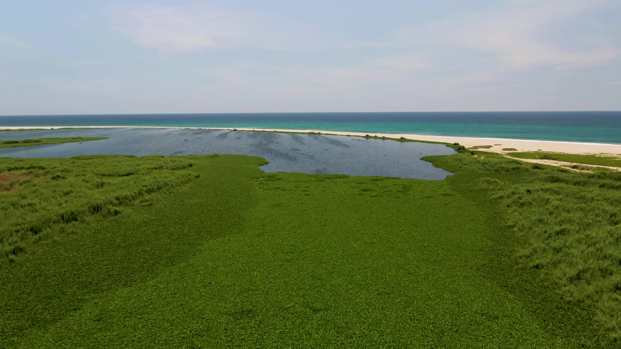 Aerial view in San Jose Del Cabo showing green marsh vegetation in the foreground, a lagoon behind it, a sandy beach, turquoise ocean, and no visible people.
