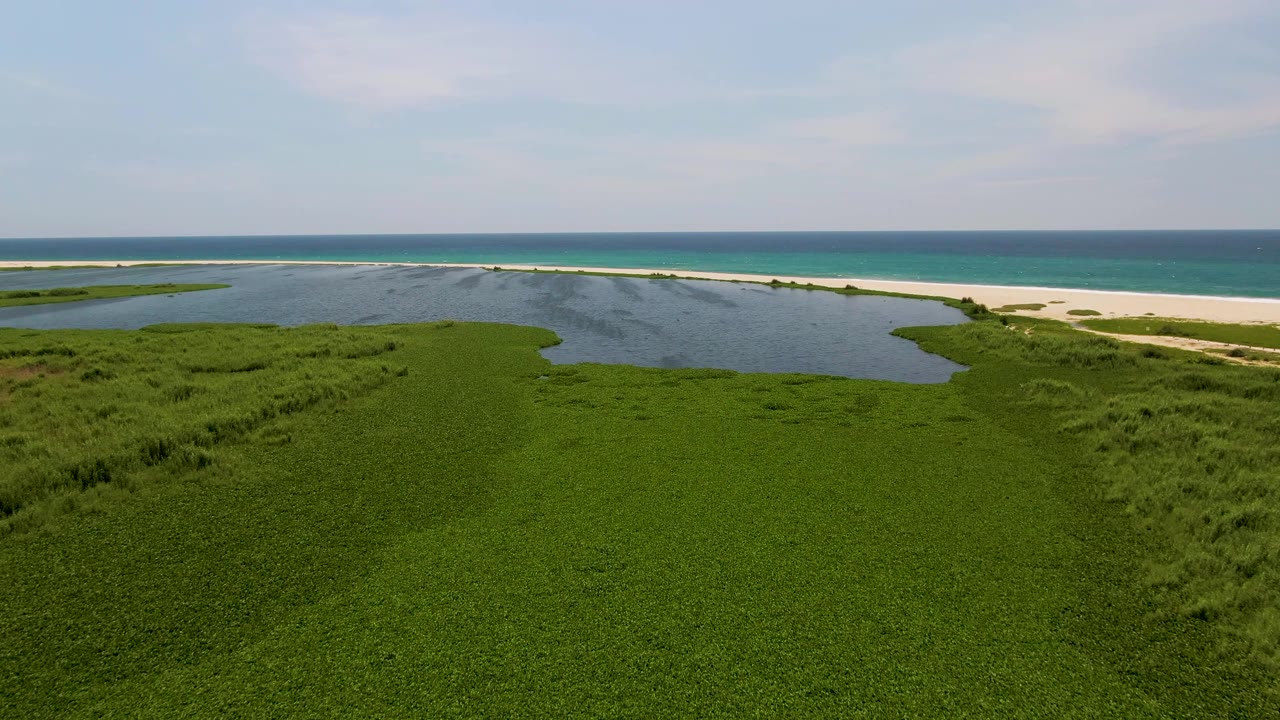 Wide aerial frame in San Jose Del Cabo with dense green vegetation below, a calm blue lagoon across the middle, pale sand beyond it, ocean water, and no visible people.