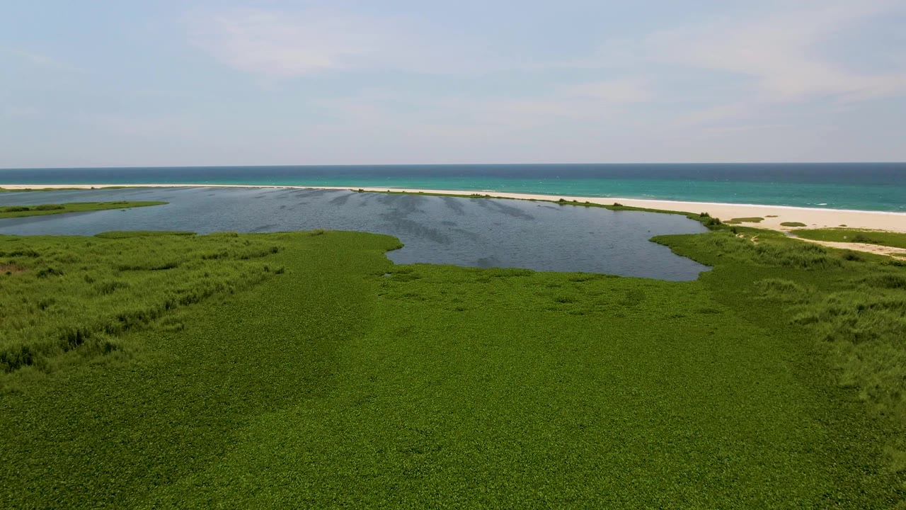Drone view in San Jose Del Cabo looking over textured green marshland toward a calm lagoon, a light sand strip, blue ocean water, and no visible people.